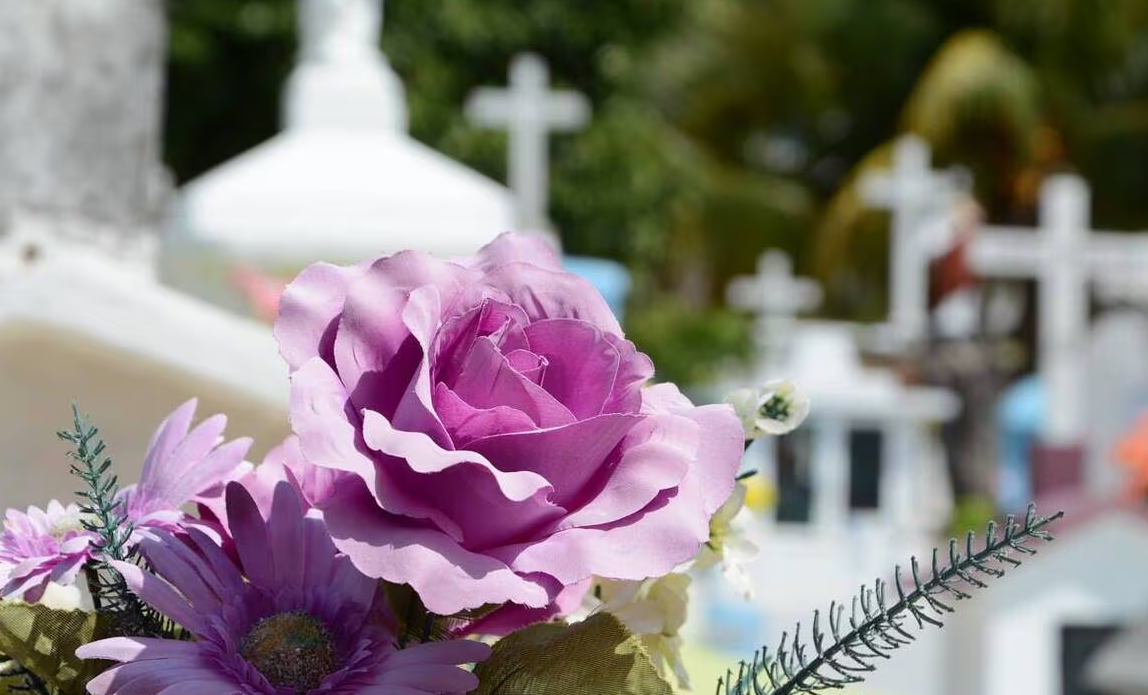 Capture decran 2025 11 20 100604