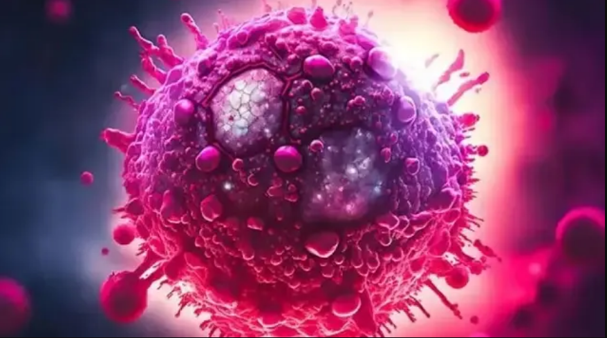 Capture decran 2025 11 20 162910