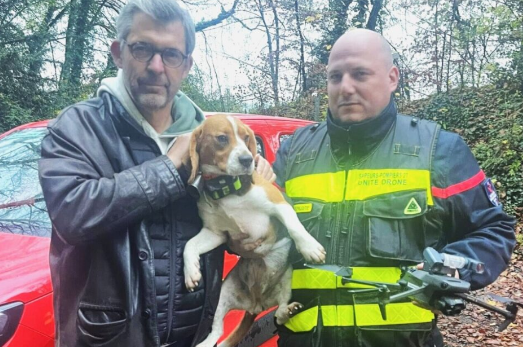 Eure : un chien suspendu au bord d’une falaise sauvé in extremis par les pompiers 2 Eure : un chien suspendu au bord d’une falaise sauvé in extremis par les pompiers Capture decran 2025 11 20 163631