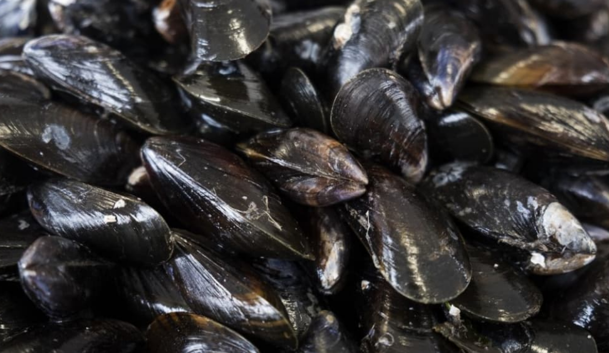 Capture decran 2025 11 24 184508