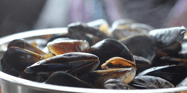 Capture decran 2025 11 24 184518