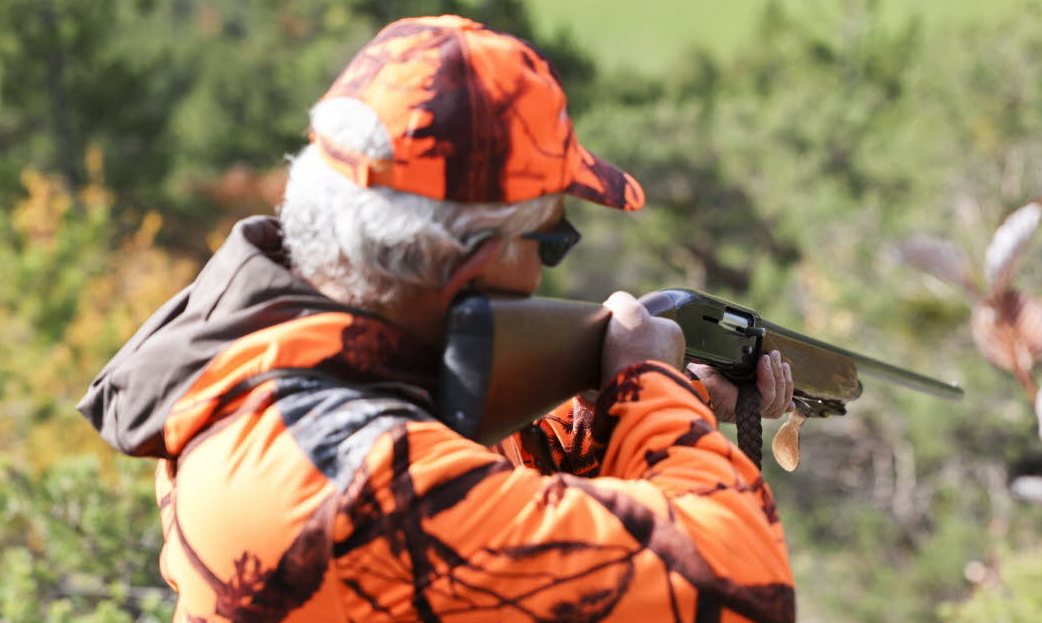 Capture decran 2025 11 25 174115