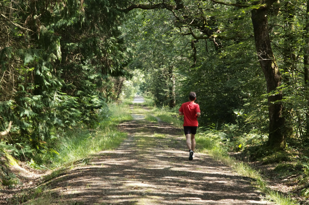 Vaucluse : un joggeur blessé par un tir de chasseur 3 Vaucluse : un joggeur blessé par un tir de chasseur Capture decran 2025 11 25 174121