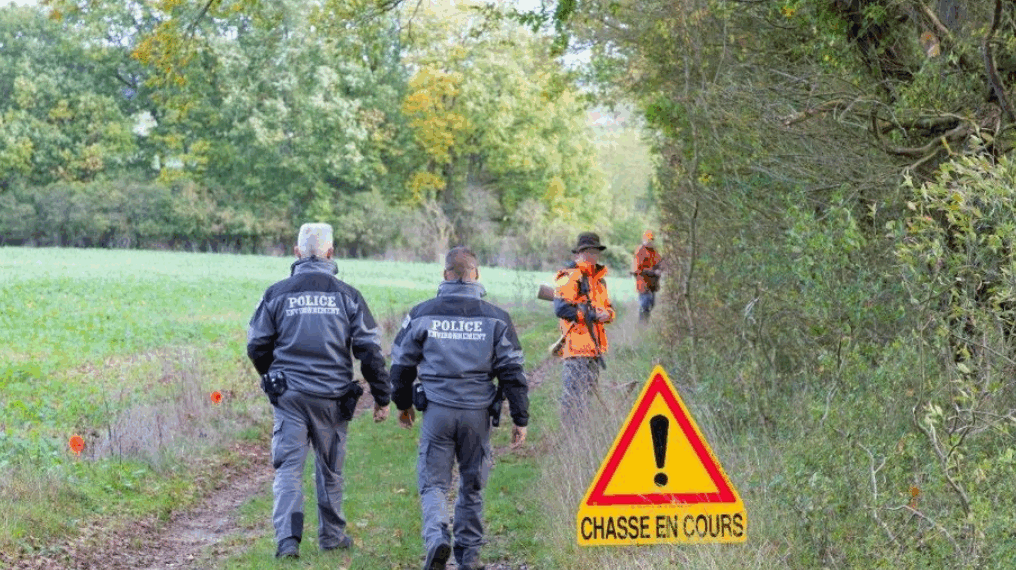 Vaucluse : un joggeur blessé par un tir de chasseur