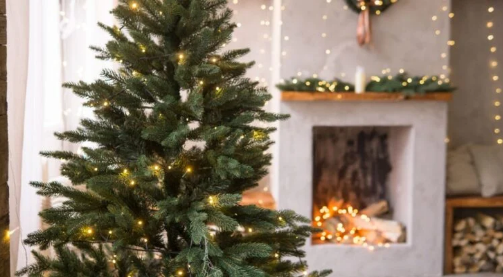 Capture decran 2025 11 27 083633