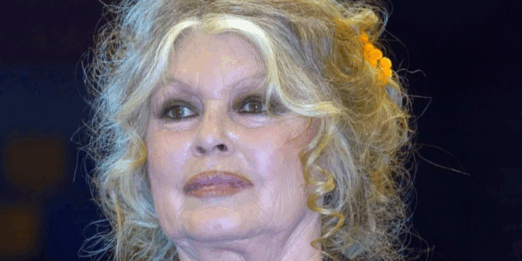 Brigitte Bardot hospitalisée, son ami Allain Bougrain-Dubourg donne de ses nouvelles : “Elle a subi une opération lourde” 1 Brigitte Bardot hospitalisée, son ami Allain Bougrain-Dubourg donne de ses nouvelles : “Elle a subi une opération lourde” Capture decran 2025 11 27 091357