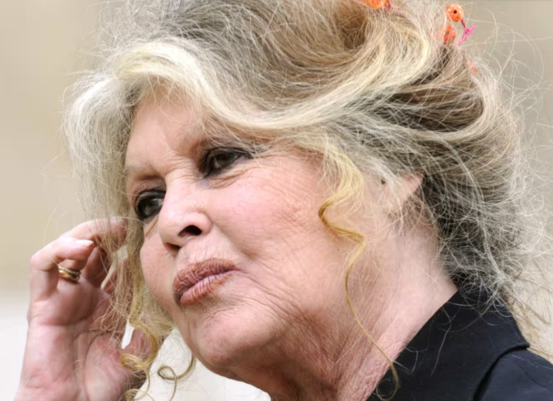 Capture decran 2025 11 27 091408