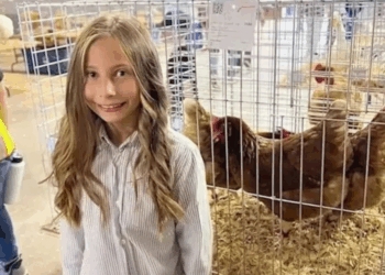 À 10 ans, elle réussit à vendre ses poules pour 1900€, mais sa banque lui confisque ses gains : "J’ai mérité cet argent" 11 À 10 ans, elle réussit à vendre ses poules pour 1900€, mais sa banque lui confisque ses gains : "J’ai mérité cet argent" À 10 ans, elle réussit à vendre ses poules pour 1900€, mais sa banque lui confisque ses gains : « J’ai mérité cet argent »
