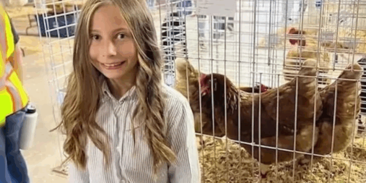 Capture decran 2025 11 28 131159