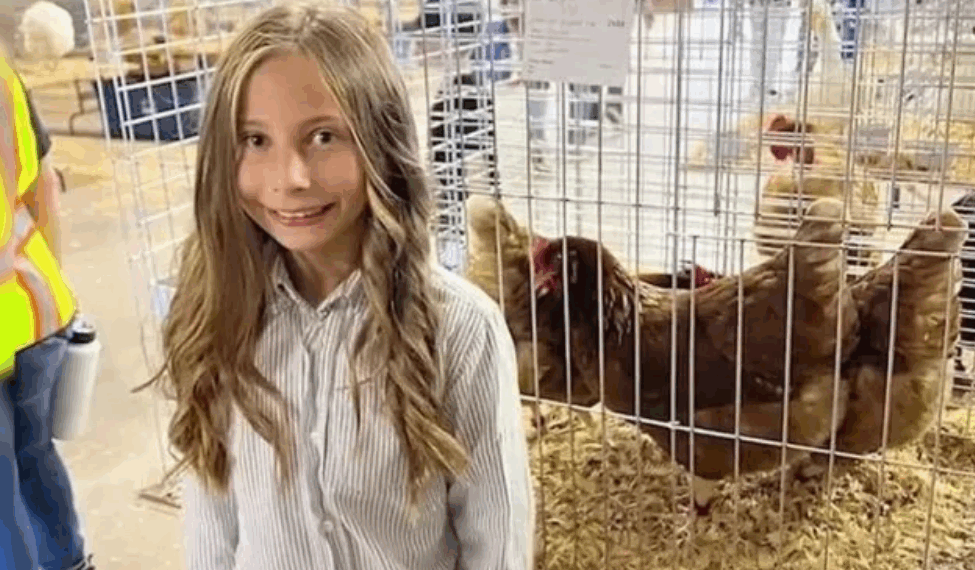 À 10 ans, elle réussit à vendre ses poules pour 1900€, mais sa banque lui confisque ses gains : « J’ai mérité cet argent »