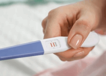 « Fini les semences stupides » : cette banque de sperme refuse désormais les donneurs dont le QI est inférieur à 85