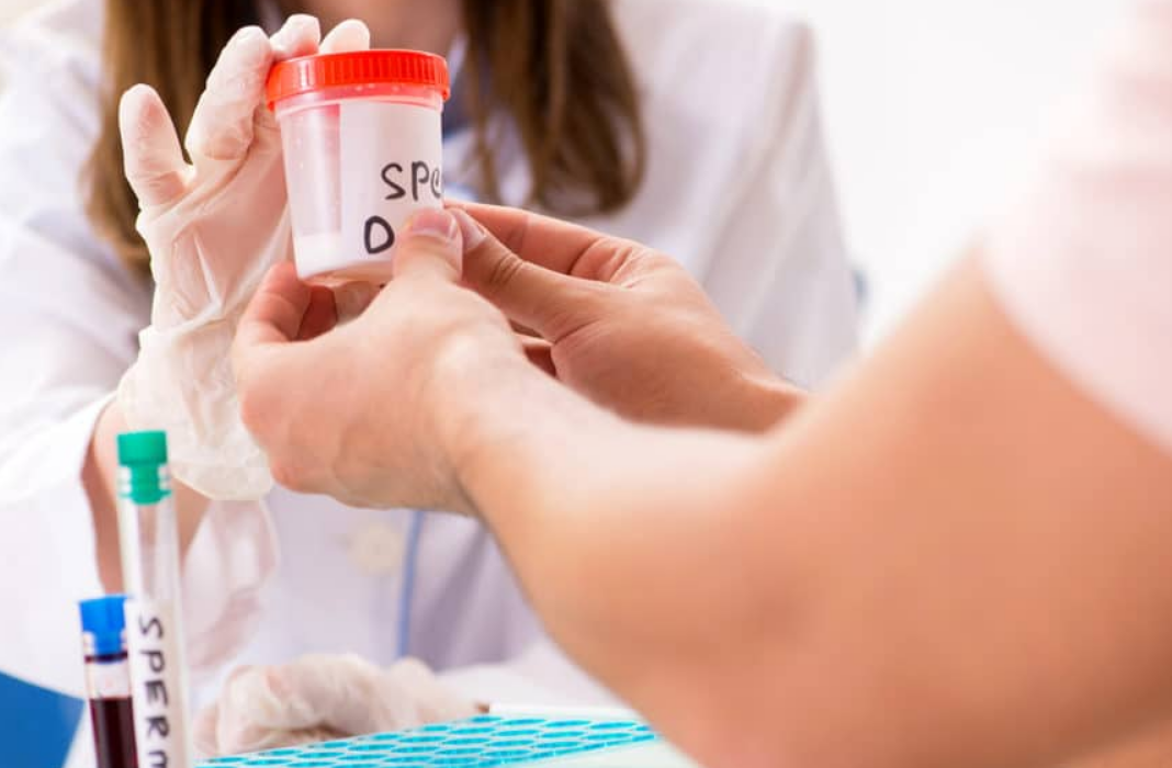 "Fini les semences stupides" : cette banque de sperme refuse désormais les donneurs dont le QI est inférieur à 85 4 "Fini les semences stupides" : cette banque de sperme refuse désormais les donneurs dont le QI est inférieur à 85 Capture decran 2025 11 28 170928