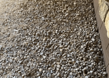 Seules les personnes avec un QI très élevé peuvent trouver la clé sur cette image : y parviendrez-vous ? 4 Seules les personnes avec un QI très élevé peuvent trouver la clé sur cette image : y parviendrez-vous ? Seules les personnes avec un QI très élevé peuvent trouver la clé sur cette image : y parviendrez-vous ?