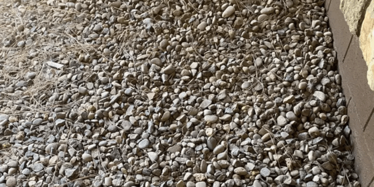 Capture decran 2025 12 01 201128