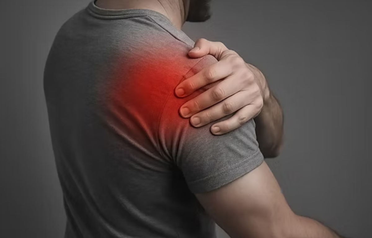 Plantes Médicinales pour Soulager les Douleurs Musculaires, les Maux de Tête et Autres Affections : Découvrez le Pouvoir de la Nature ! 2 Plantes Médicinales pour Soulager les Douleurs Musculaires, les Maux de Tête et Autres Affections : Découvrez le Pouvoir de la Nature ! Capture decran 2025 12 01 204751