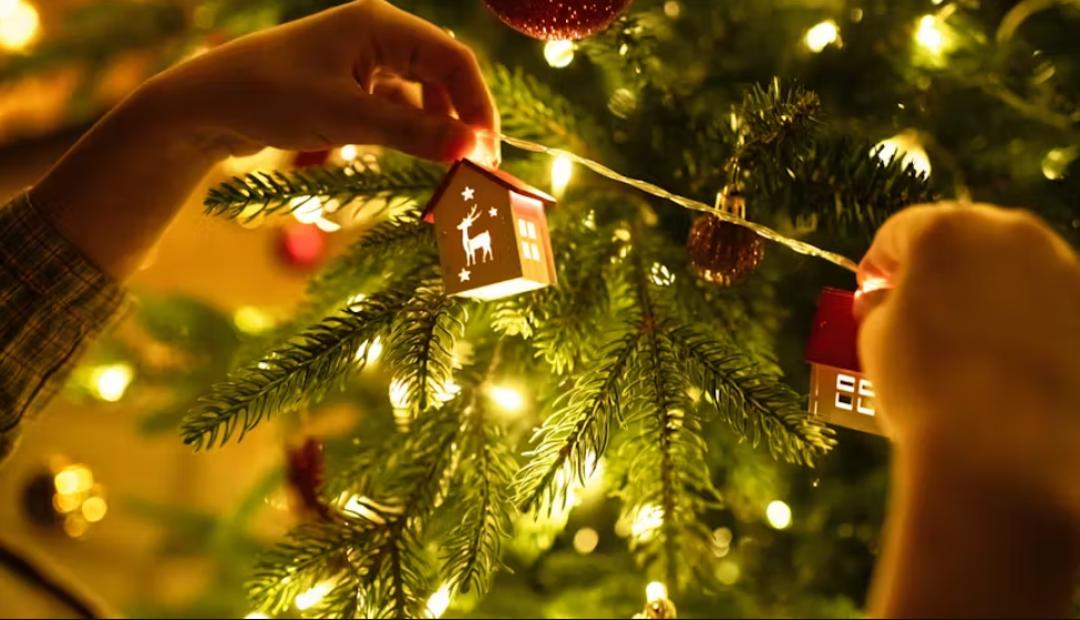 Capture decran 2025 12 01 210804