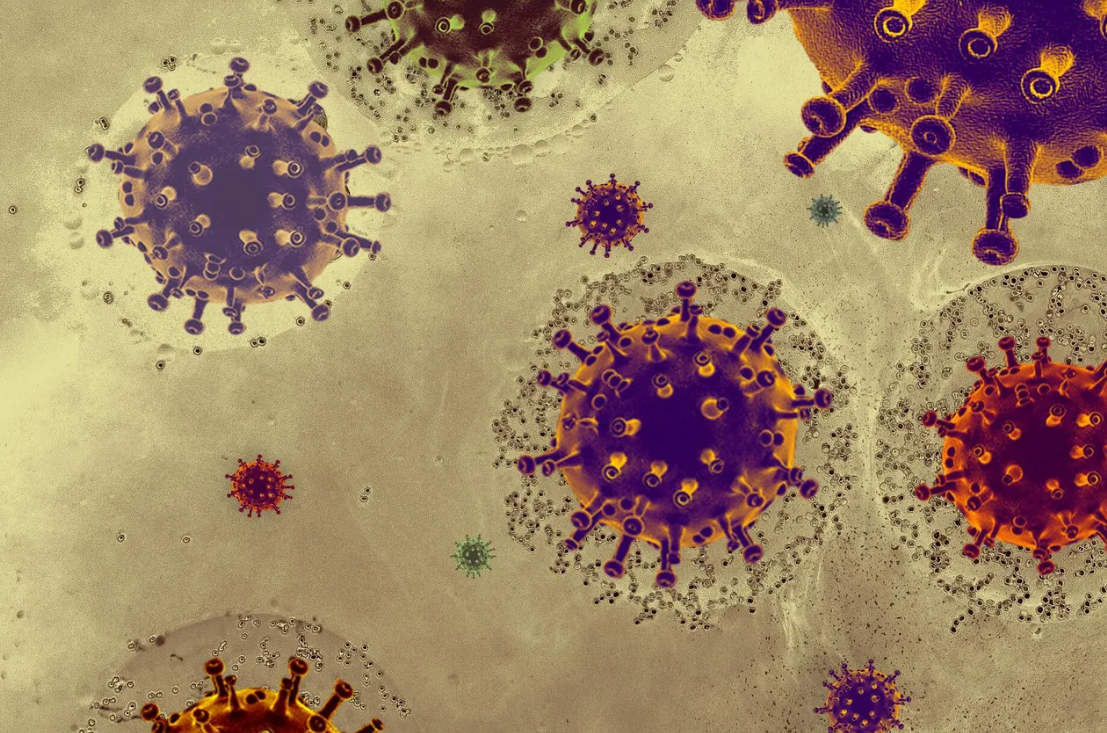 Coronavirus : 2 cas de MERS identifiés en France, une première depuis 2013 4 Coronavirus : 2 cas de MERS identifiés en France, une première depuis 2013 Capture decran 2025 12 04 143846