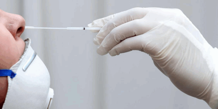 Capture decran 2025 12 04 143852