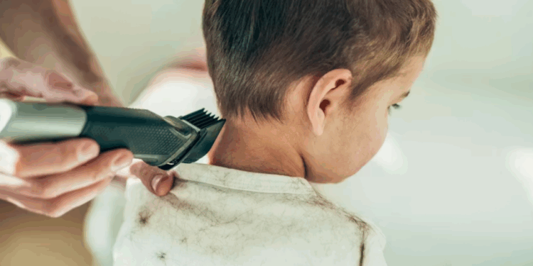 Paris : Les éducatrices d’un foyer rasent la tête d’un enfant pour le punir, un signalement effectué 1 Paris : Les éducatrices d’un foyer rasent la tête d’un enfant pour le punir, un signalement effectué Capture decran 2025 12 09 172139