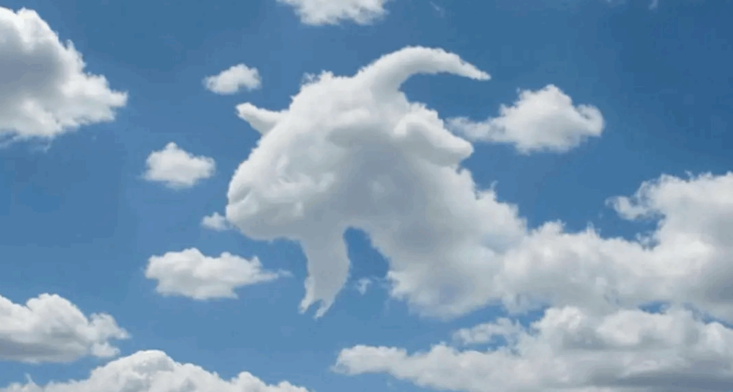 Vous voyez d’abord une tortue ou un chameau ? Voici ce que cela dit sur votre cerveau 3 Vous voyez d’abord une tortue ou un chameau ? Voici ce que cela dit sur votre cerveau Vous voyez d’abord une tortue ou un chameau ? Voici ce que cela dit sur votre cerveau