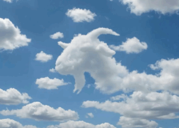 Vous voyez d’abord une tortue ou un chameau ? Voici ce que cela dit sur votre cerveau