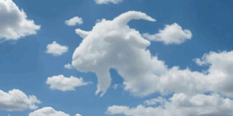 Vous voyez d’abord une tortue ou un chameau ? Voici ce que cela dit sur votre cerveau 1 Vous voyez d’abord une tortue ou un chameau ? Voici ce que cela dit sur votre cerveau Capture decran 2025 12 10 221340