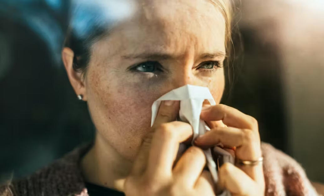 Grippe : faut-il s'inquiéter de la souche K qui rend le virus plus virulent ? 1 Grippe : faut-il s'inquiéter de la souche K qui rend le virus plus virulent ? Capture decran 2025 12 15 131513