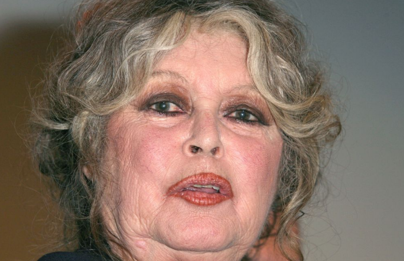 A 91 ans, LFI ou RN ? Brigitte Bardot révèle ses intentions de vote : "Votez pour eux, au moins..." 4 A 91 ans, LFI ou RN ? Brigitte Bardot révèle ses intentions de vote : "Votez pour eux, au moins..." Capture decran 2025 12 17 184702