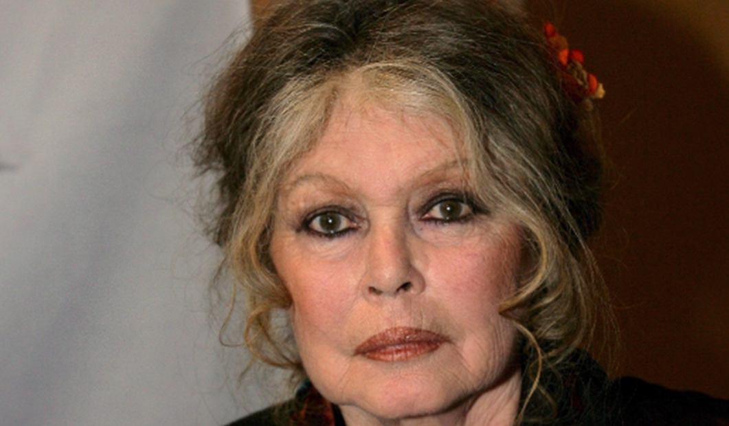 A 91 ans, LFI ou RN ? Brigitte Bardot révèle ses intentions de vote : "Votez pour eux, au moins..." 2 A 91 ans, LFI ou RN ? Brigitte Bardot révèle ses intentions de vote : "Votez pour eux, au moins..." Capture decran 2025 12 17 184709