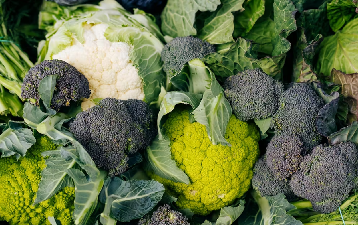 Capture decran 2025 12 23 145819