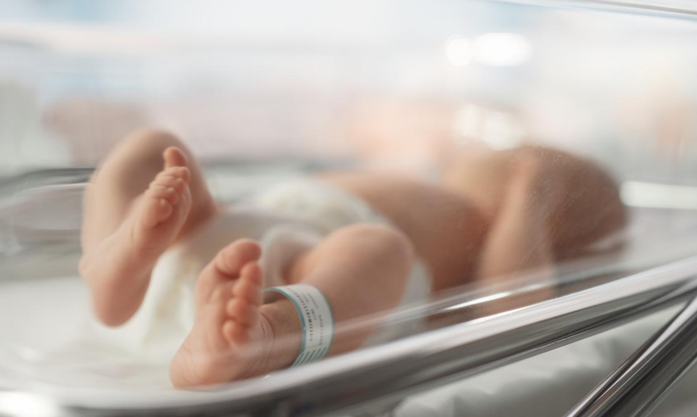 Capture decran 2025 12 25 144009