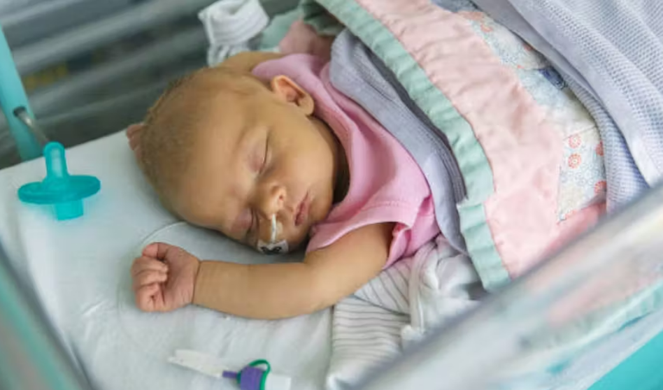 Capture decran 2025 12 25 144014