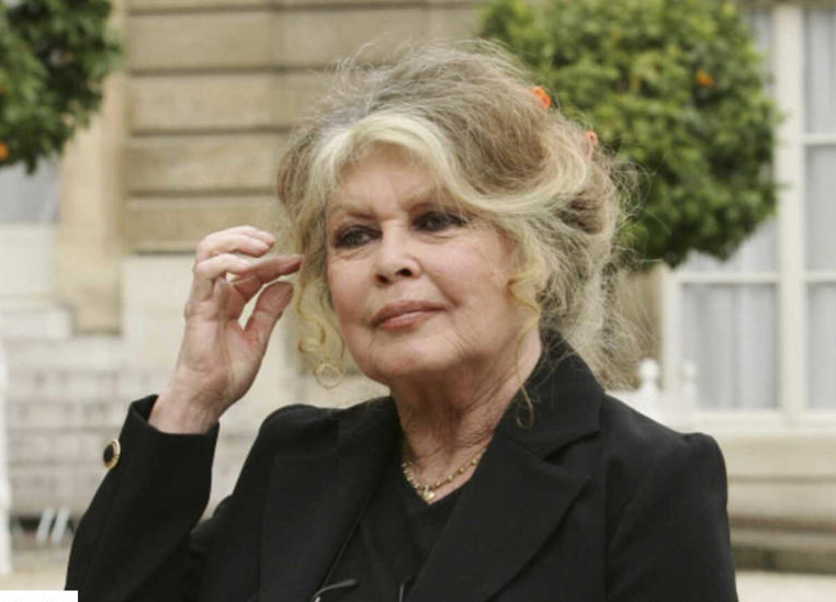 Disparition de Brigitte Bardot : combien a-t-elle de petits-enfants ?