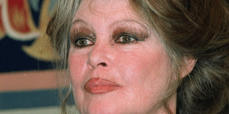 Capture decran 2025 12 29 093500