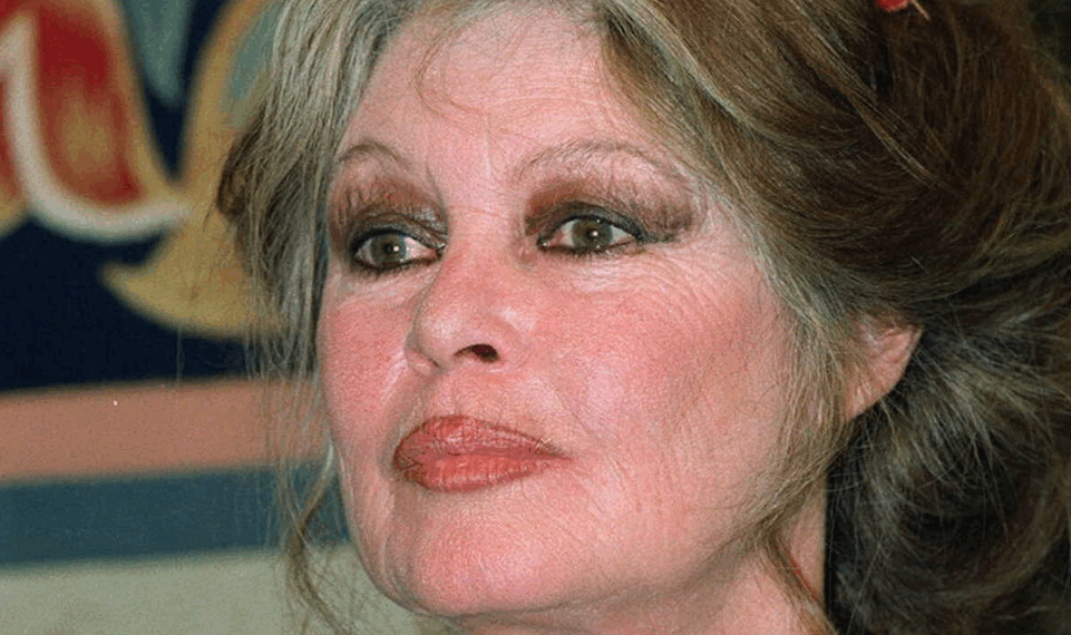 Disparition de Brigitte Bardot : combien a-t-elle de petits-enfants ?