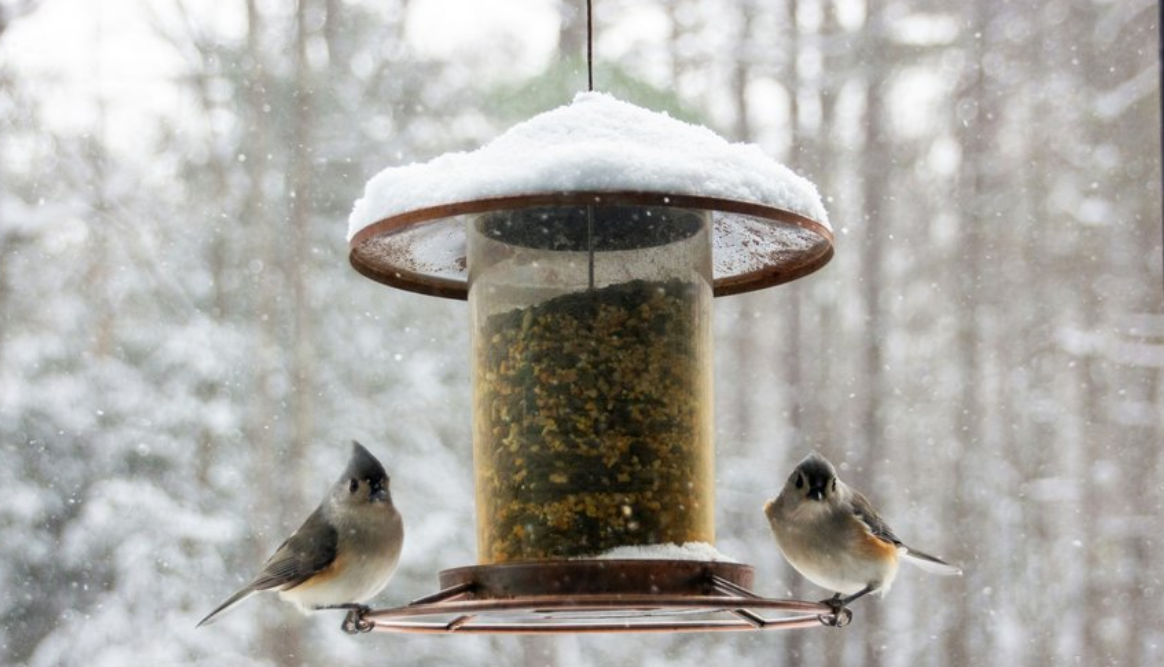 Capture decran 2025 12 29 112628