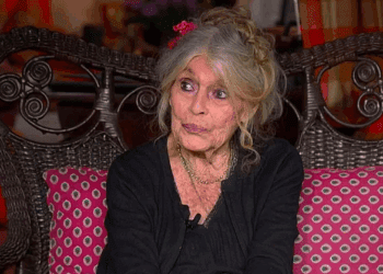 Disparition de Brigitte Bardot : les Insoumis partagés entre silence radio et critiques acerbes