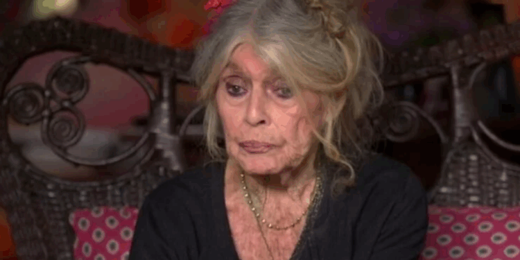 Capture decran 2025 12 29 113600