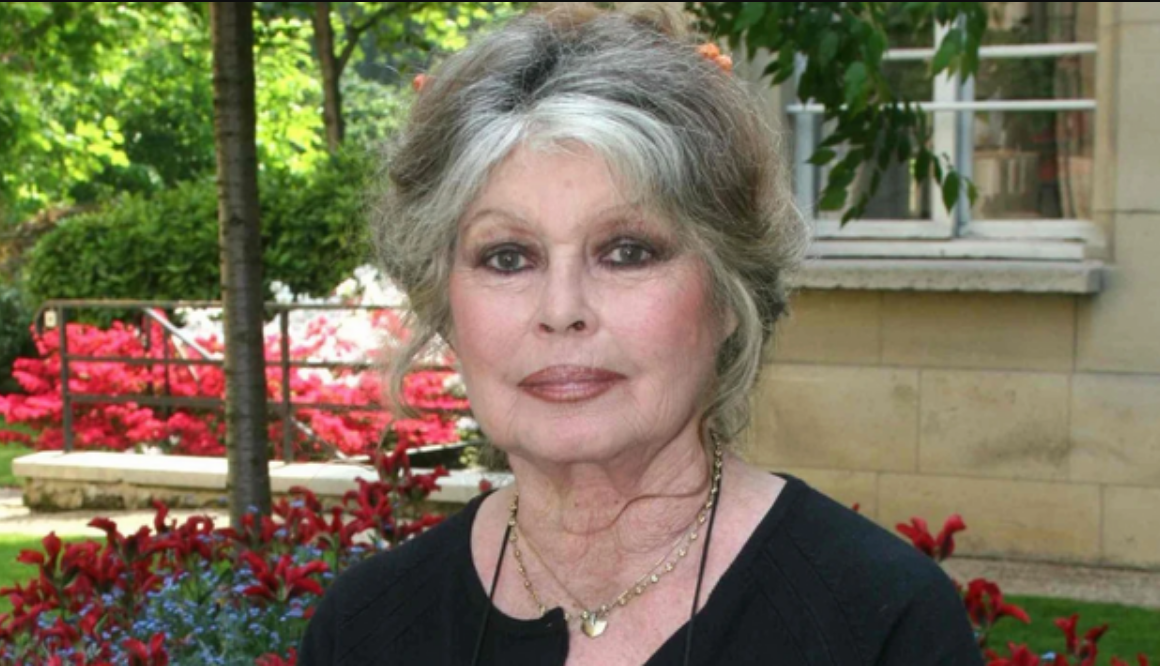 Capture decran 2025 12 29 113612 1