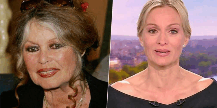 Capture decran 2025 12 29 195511