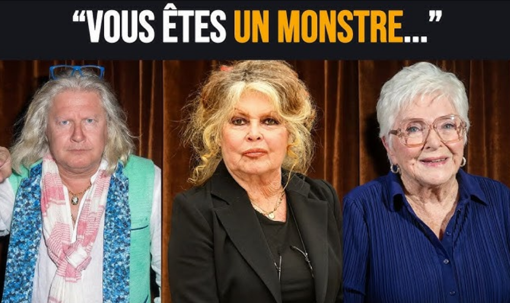 « Vous êtes un monstre » : Pierre-Jean Chalençon fustige l’hommage fait par Line Renaud à Brigitte Bardot 2 « Vous êtes un monstre » : Pierre-Jean Chalençon fustige l’hommage fait par Line Renaud à Brigitte Bardot Capture decran 2025 12 30 150708