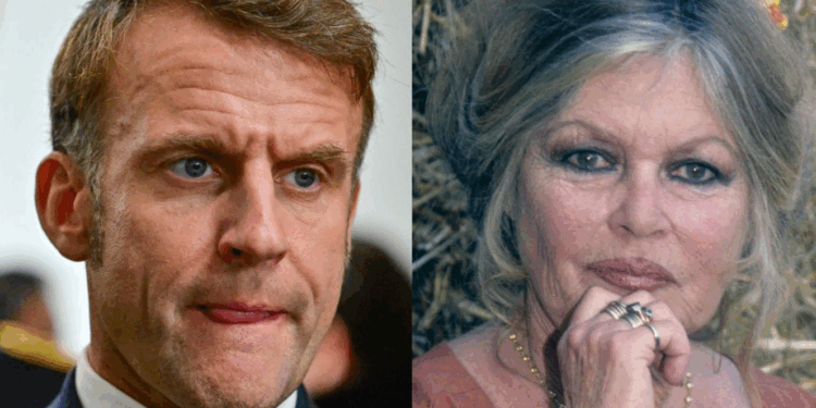 Capture decran 2025 12 31 140545