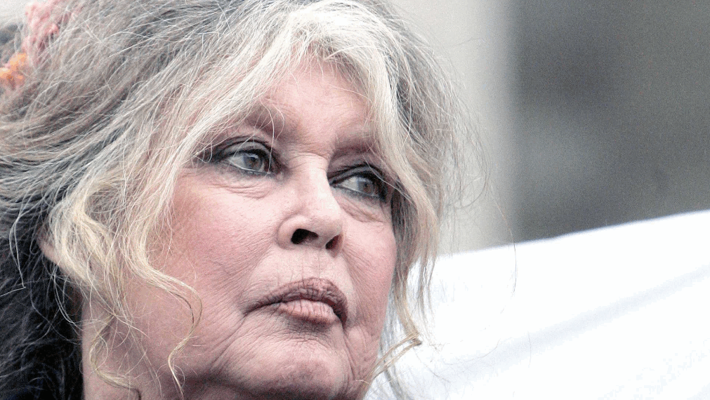 Laura Smet rend un hommage vibrant à Brigitte Bardot : « On va essayer d&rsquo;être à la hauteur »