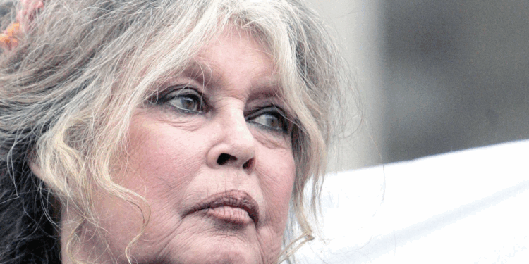 Laura Smet rend un hommage vibrant à Brigitte Bardot : "On va essayer d'être à la hauteur" 1 Laura Smet rend un hommage vibrant à Brigitte Bardot : "On va essayer d'être à la hauteur" Capture decran 2025 12 31 143411