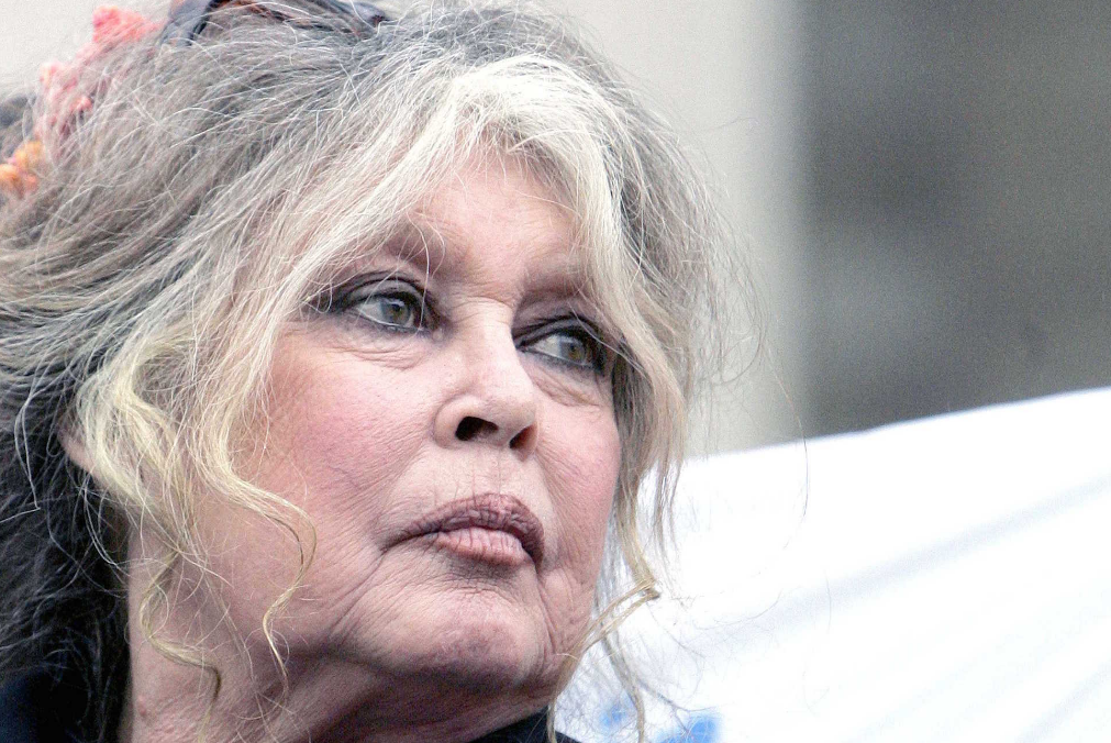 Capture decran 2025 12 31 143411