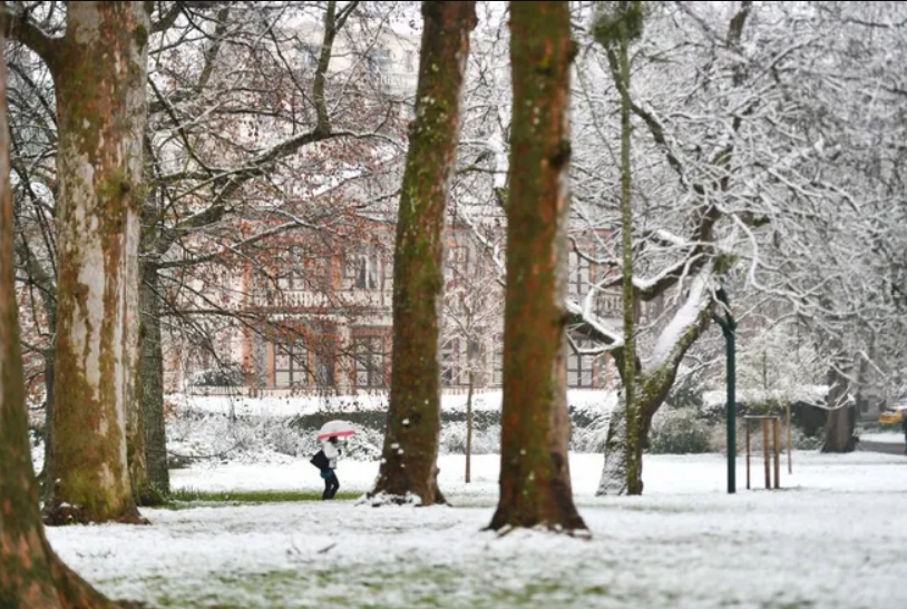 Capture decran 2026 01 05 120815