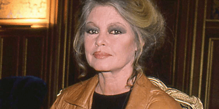 «Elle te choisit ou ne te choisit pas» : un ex-journaliste de France 2 révèle sa relation avec Brigitte Bardot 1 «Elle te choisit ou ne te choisit pas» : un ex-journaliste de France 2 révèle sa relation avec Brigitte Bardot Capture decran 2026 01 05 131405