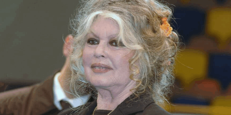 Obsèques de Brigitte Bardot : ce qu’il sera interdit de faire à Saint-Tropez lors des funérailles 1 Obsèques de Brigitte Bardot : ce qu’il sera interdit de faire à Saint-Tropez lors des funérailles Capture decran 2026 01 07 125618