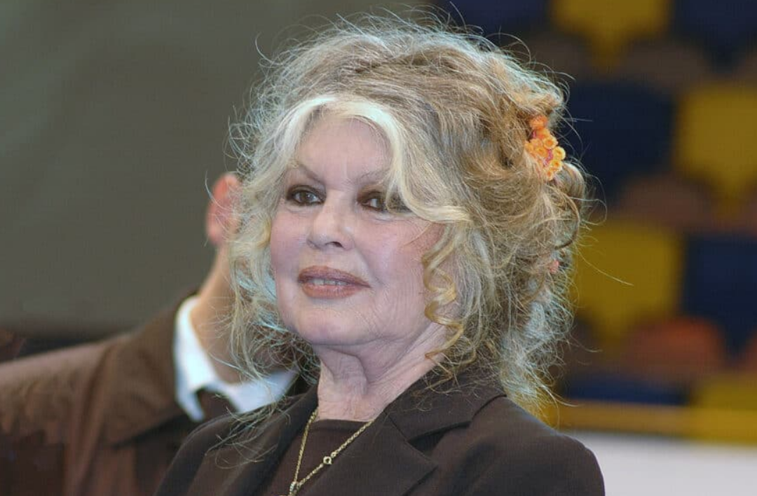 Capture decran 2026 01 07 125618