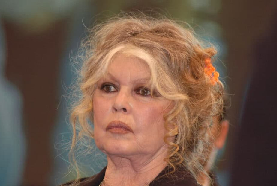 Obsèques de Brigitte Bardot : ce qu’il sera interdit de faire à Saint-Tropez lors des funérailles 2 Obsèques de Brigitte Bardot : ce qu’il sera interdit de faire à Saint-Tropez lors des funérailles Capture decran 2026 01 07 125621